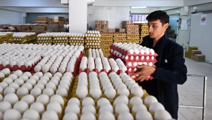 Yumurta fiyatlarında büyük değişiklik