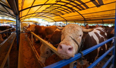 10 soruda kurbanla ilgili merak edilenler