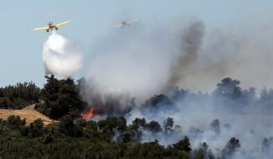 3 ilde peş peşe orman yangını! Rüzgarın etkisiyle yayılıyor