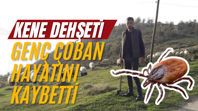 Alucra’da Kene Dehşeti
