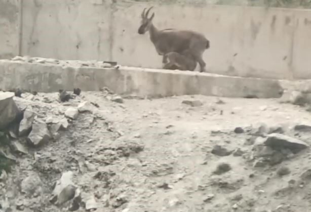 Artvin’de Duygulandıran An