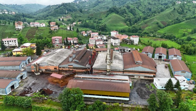 ÇAYKUR Fabrikasından Çıkan Kömür Tozu Çay Bahçelerini Kararttı