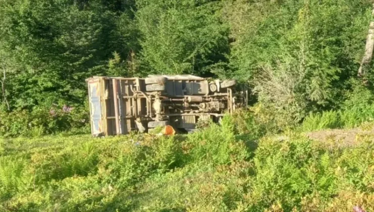 Giresun Espiye’de Kamyon Şarampole Devrildi
