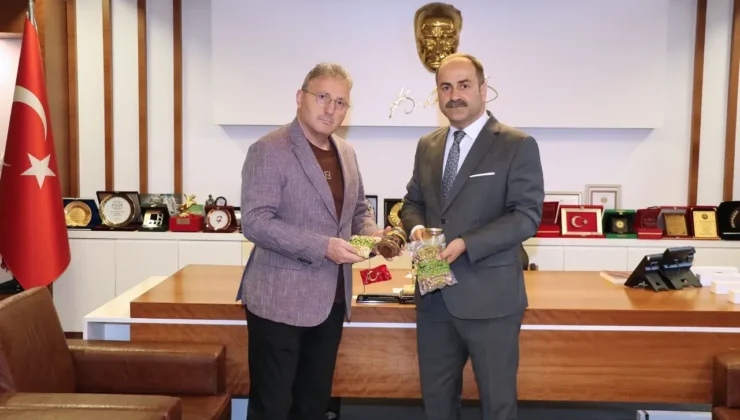Giresun’da Fındık Üreticisine “Hükümlü İşçi Projesi” Desteği Geliyor