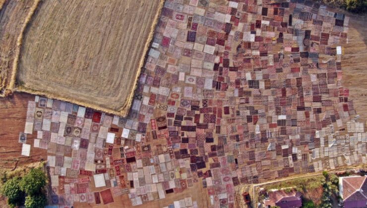 Antalya’da Milyonluk Halı Tarlası: Gece Boyunca Nöbet!