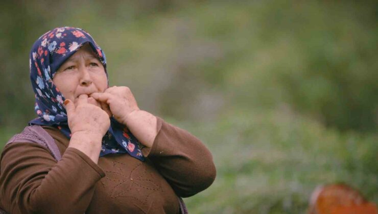 Giresun Islık Dili Çalıştayı: UNESCO Mirası Canlanıyor!