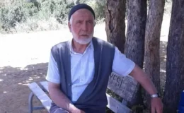 Kelkit’te Kene Isırması Can Aldı