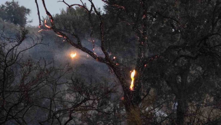 Düğün Konvoyu Yangına Neden Oldu!