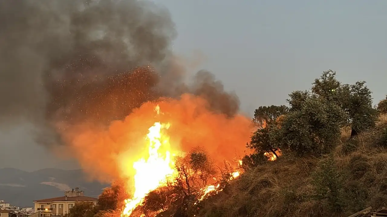 Milas Düğün Yangını