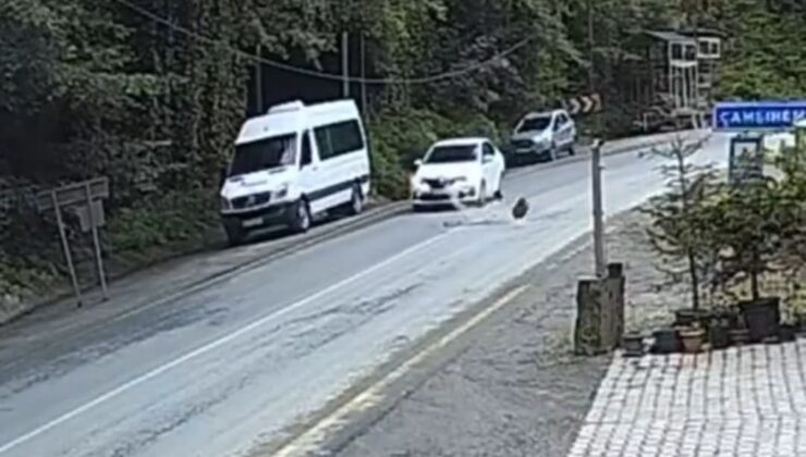Rize’de Kaya Düştü: Otomobil Az Kalsın Eziliyordu!