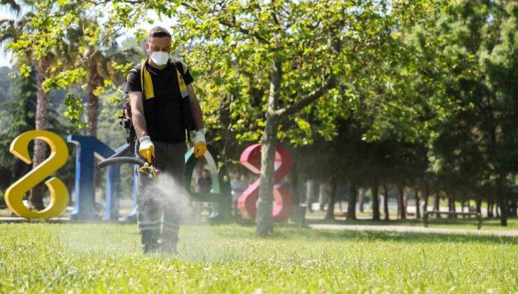Samsun’da Kene İlaçlaması Başladı