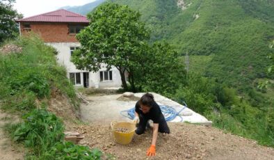 Sanatı Bırakıp Toprağa Döndü