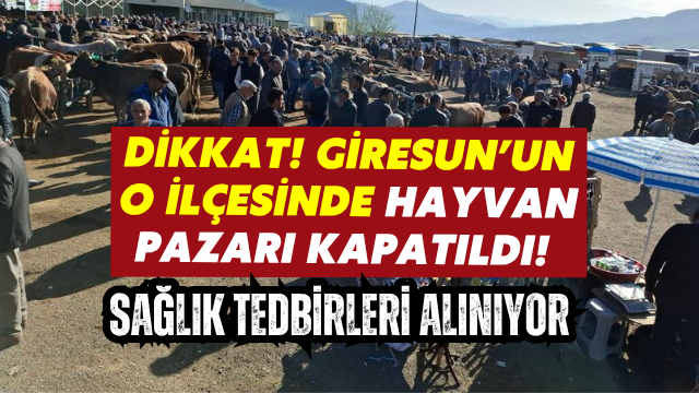 Şebinkarahisar Canlı Hayvan Pazarı Geçici Olarak Kapandı