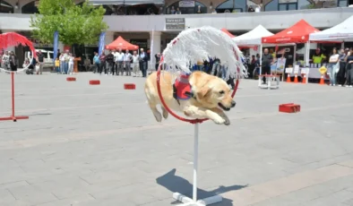 Şebinkarahisar’da Jandarma’dan Bir İlk