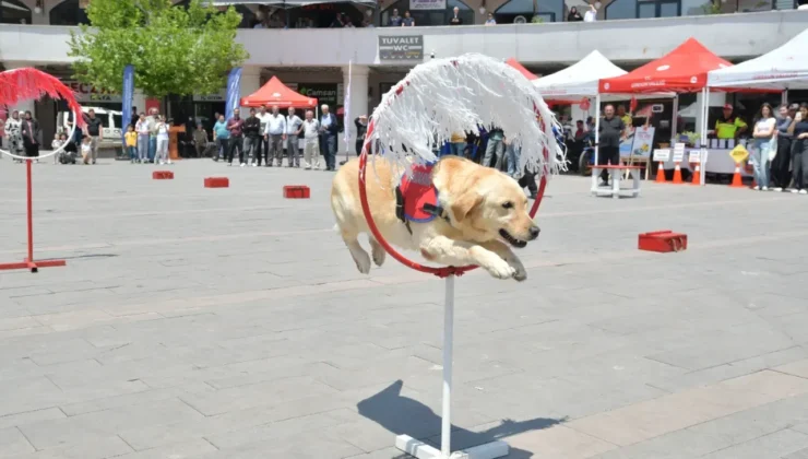 Şebinkarahisar’da Jandarma’dan Bir İlk