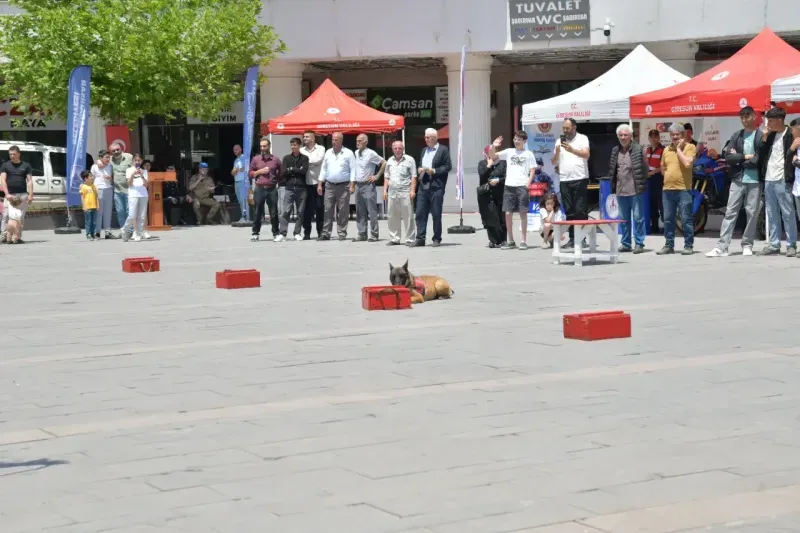 Şebinkarahisar Jandarma1