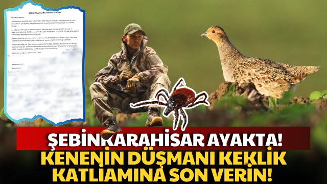 Şebinkarahisar’da Keklik Ölümleri Endişe Yarattı