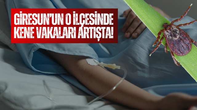 Şebinkarahisar’da Kene Vaka Sayısı Artıyor