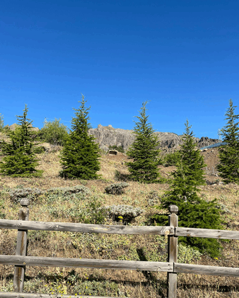 Şebinkarahisar’da Skandal: GES İçin TBMM Hatıra Ormanı Feda Edildi!