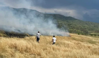 Şebinkarahisar’da Buğday Tarlasında Yangın