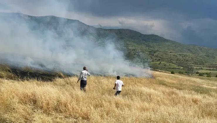 Şebinkarahisar’da Buğday Tarlasında Yangın