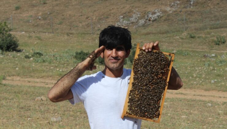 Arıların Fısıltısını Duyan Adam