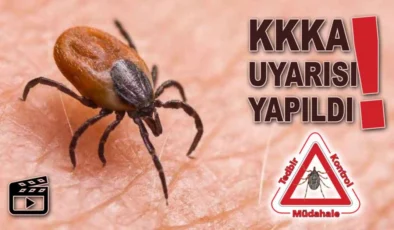 Tokat’ta Kene Alarmı: 712 Kişi Hastaneye Başvurdu