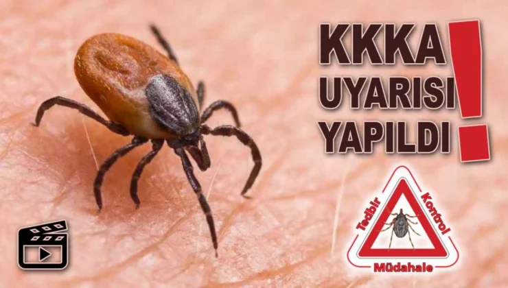 Tokat’ta Kene Alarmı: 712 Kişi Hastaneye Başvurdu