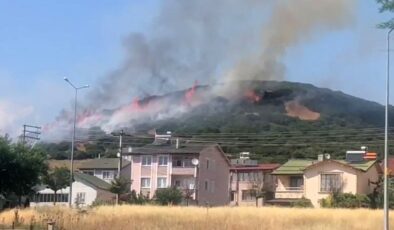 Tokat Niksar’da Orman Yangını!
