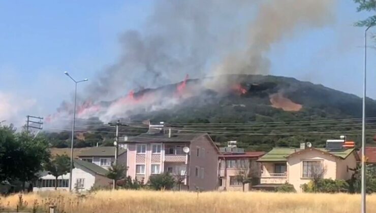 Tokat Niksar’da Orman Yangını!