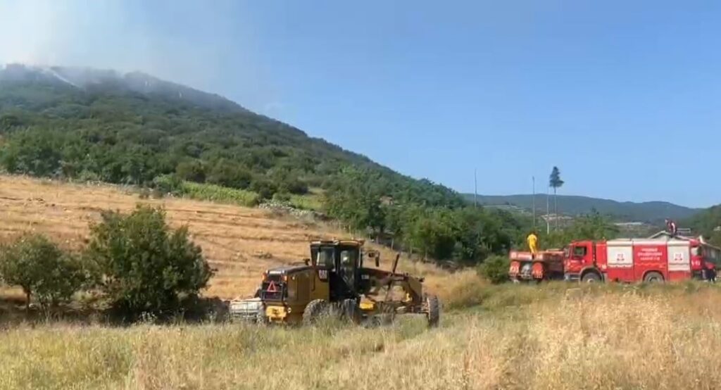 Tokat Niksar orman yangını1