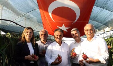 Adana’da Ejder Meyvesi Üretimi Talepleri Karşılayamıyor