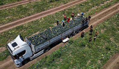 Adana’da karpuz fiyatları dibe vurdu: Kilosu 2,5 lira