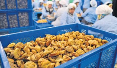 ‘Aflatoksin’ ihracatı kısıtlayabilir