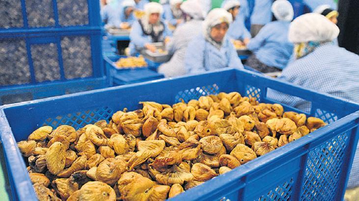 ‘Aflatoksin’ ihracatı kısıtlayabilir