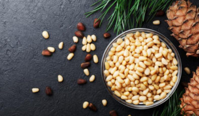 Aydın çam fıstığına AB’den coğrafi işaret tescili