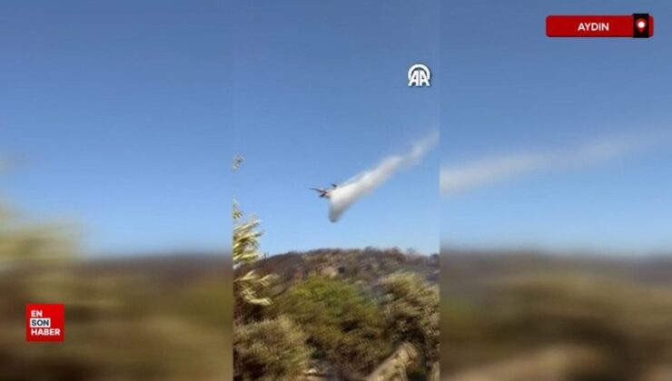 Aydın’da ziraat alanında çıkan yangın kontrol altına alındı