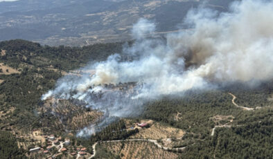 Balıkesir’de orman yangını kontrol altına alındı