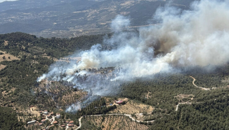 Balıkesir’de orman yangını kontrol altına alındı