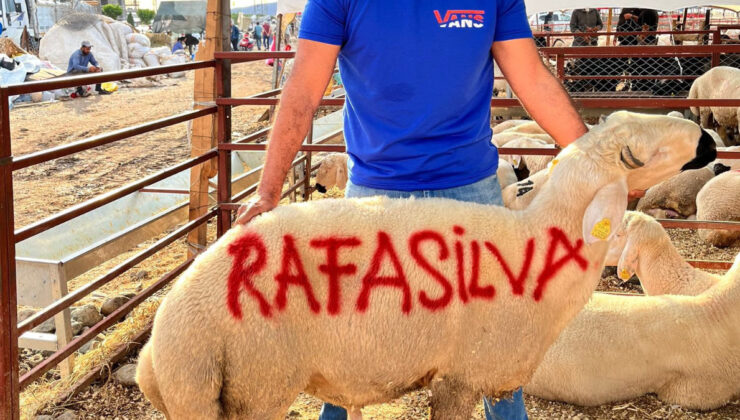 Beşiktaşlıların Rafa Silva sevgisi: Kurbanlıklara adını yazdılar…