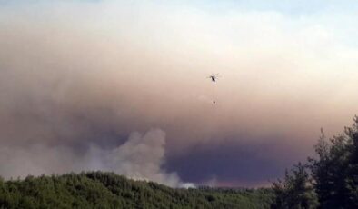 Bilecik’teki orman yangınında 3 gözaltı
