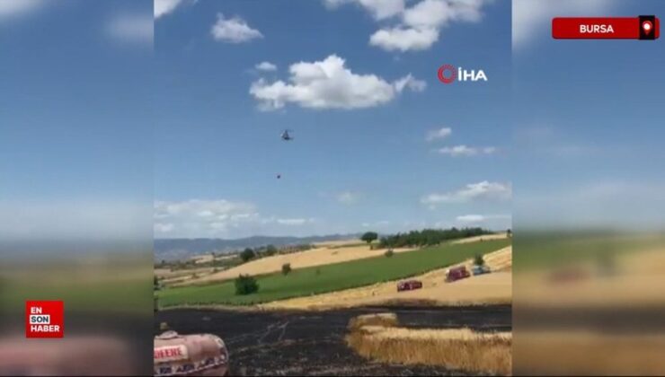Bursa’da 30 dönümlük buğday tarlası alevlere teslim oldu