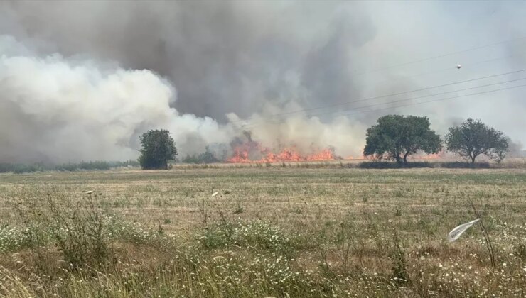 Çanakkale’de Tarım Arazisinde Yangın