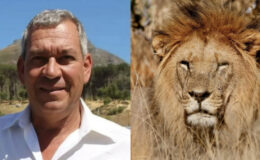 Doğa koruma çalışmalarıyla tanınıyordu: İş insanı aslan saldırısı sonucu öldü