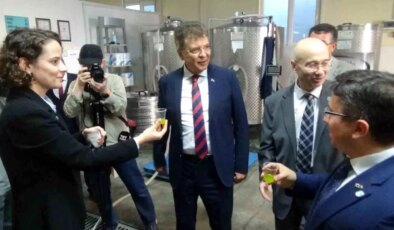 Edremit Belediyesi ve Balıkesir Üniversitesi iş birliğiyle zeytinyağı üretimi başlıyor