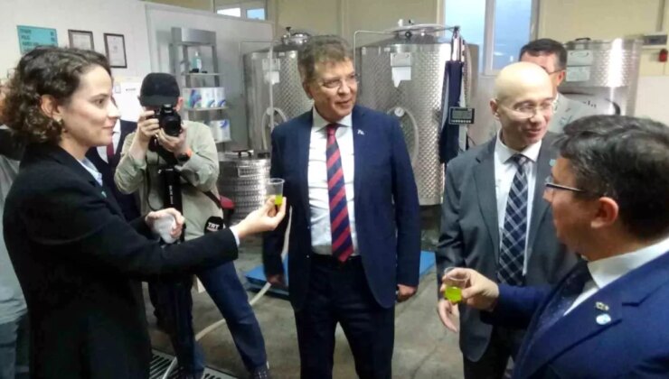 Edremit Belediyesi ve Balıkesir Üniversitesi iş birliğiyle zeytinyağı üretimi başlıyor