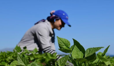 İbrahim Yumaklı: 7 bin 160 projeye 10,2 milyar TL hibe desteği vereceğiz