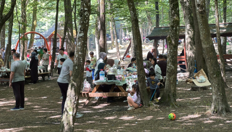İstanbullular bayramın 2’nci gününde Belgrad Ormanı’na akın etti