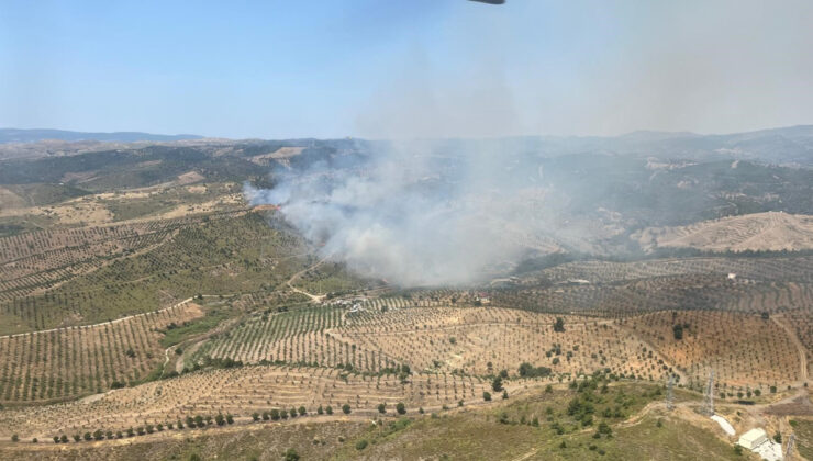 İzmir Seferihisar’da orman yangını