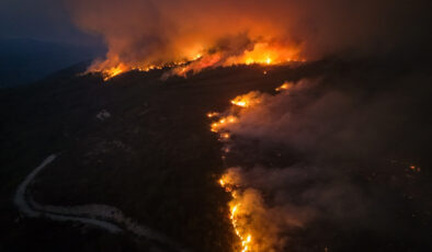 İzmir’de ormanlık alanlarda çıkan yangınlara müdahale ediliyor